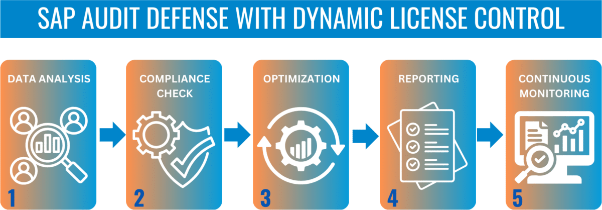 SAP Audit Defense Steps with license tool Dynamic License Control