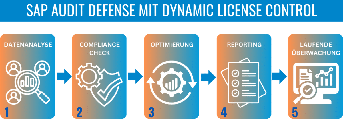 SAP Audit Defense Steps mit Lizenztool Dynamic License Control