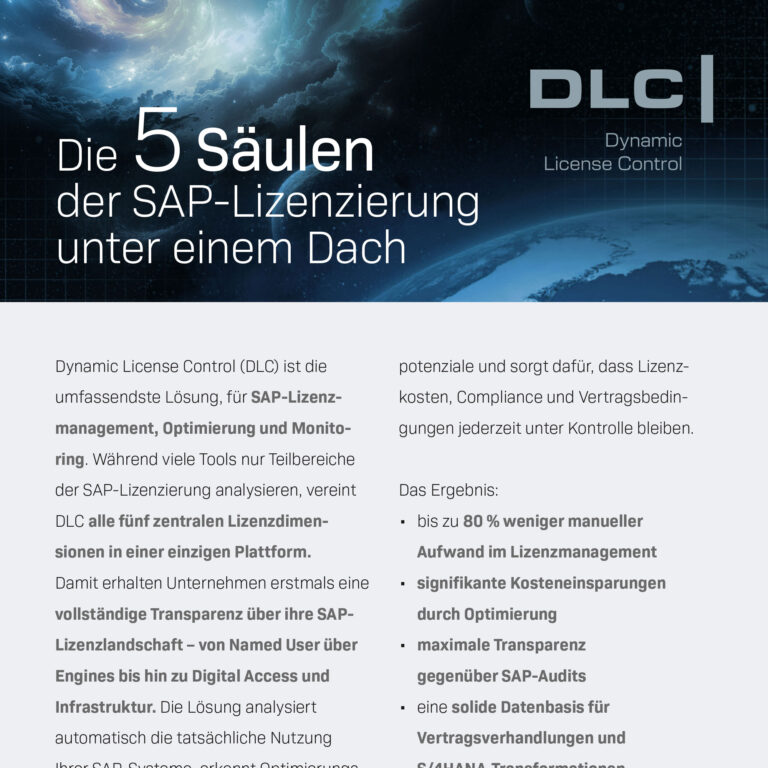 Die 5 Säulen der SAP-Lizenzierung unter einem Dach (Deutsch)